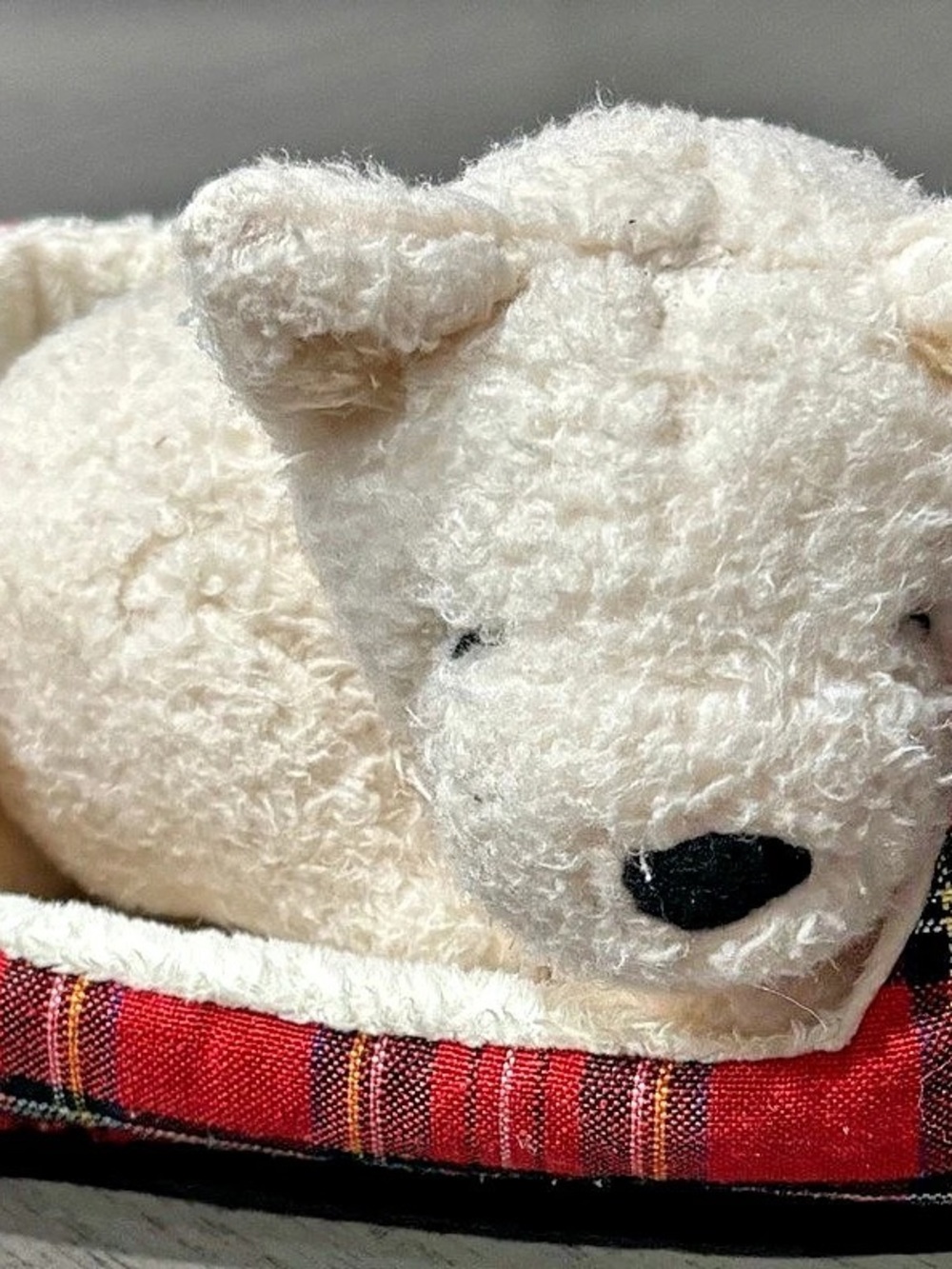 Jellycat Napping Nipper Westie Plaid Dog Bed with Plush Westie